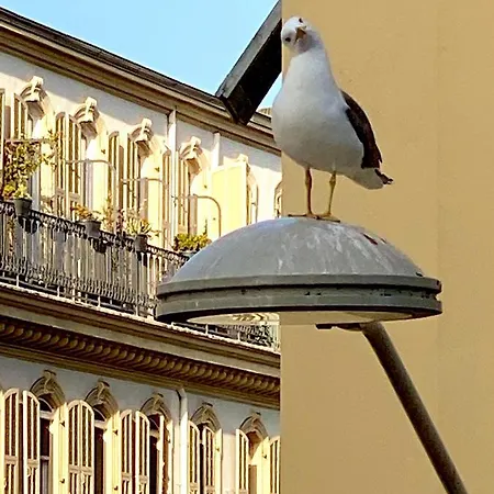 Appartamento 2 Bedroom - Hyper Center - Kitchen - Tramway - Balcony - Air Conditioner - Wifi Nizza